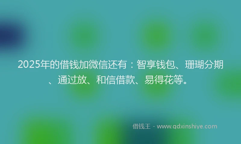 2025年的借钱加微信还有：智享钱包、珊瑚分期、通过放、和信借款、易得花等。