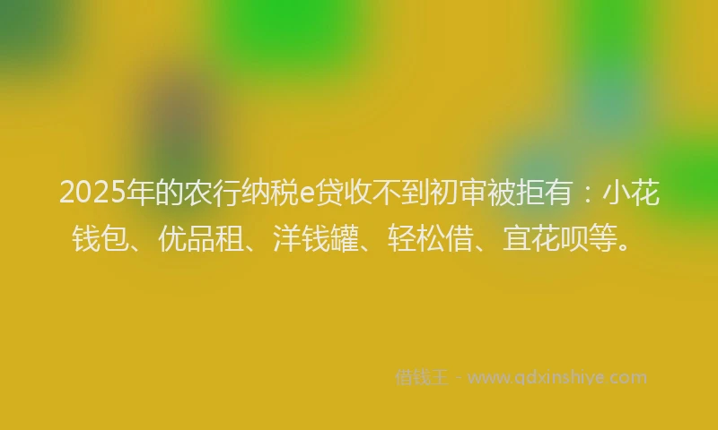 2025年的农行纳税e贷收不到初审被拒有：小花钱包、优品租、洋钱罐、轻松借、宜花呗等。