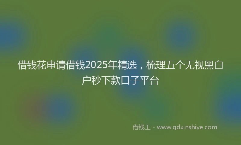 借钱花申请借钱2025年精选，梳理五个无视黑白户秒下款口子平台