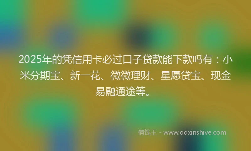 2025年的凭信用卡必过口子贷款能下款吗有：小米分期宝、新一花、微微理财、星愿贷宝、现金易融通途等。