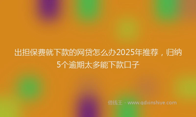 出担保费就下款的网贷怎么办2025年推荐，归纳5个逾期太多能下款口子