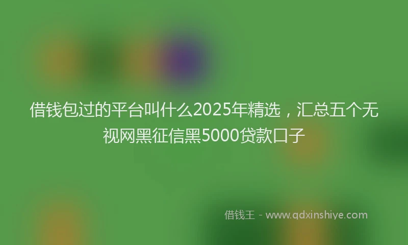 借钱包过的平台叫什么2025年精选，汇总五个无视网黑征信黑5000贷款口子