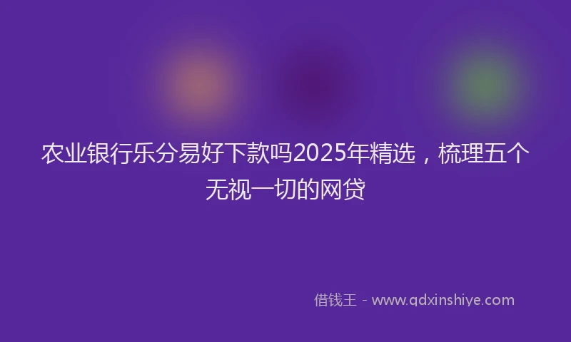 农业银行乐分易好下款吗2025年精选，梳理五个无视一切的网贷