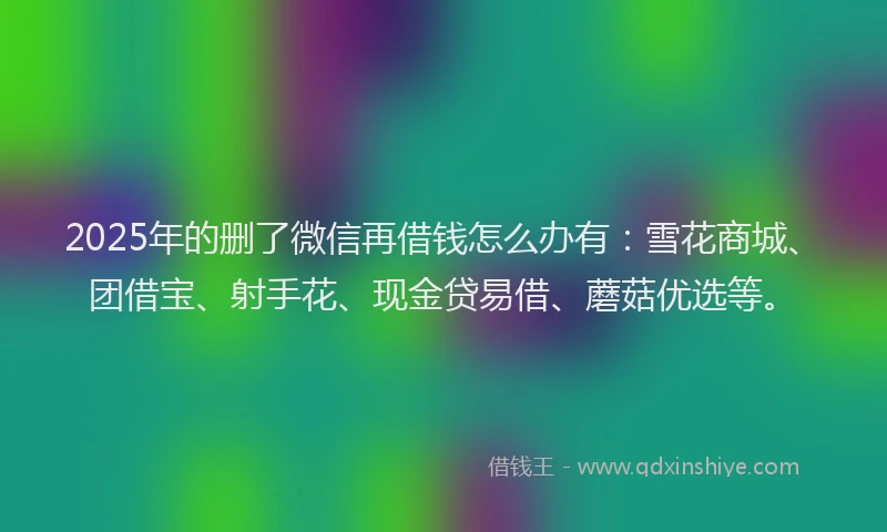 2025年的删了微信再借钱怎么办有：雪花商城、团借宝、射手花、现金贷易借、蘑菇优选等。