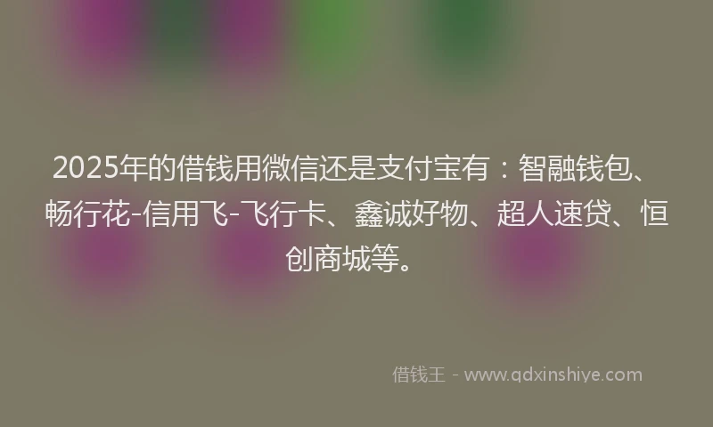2025年的借钱用微信还是支付宝有：智融钱包、畅行花-信用飞-飞行卡、鑫诚好物、超人速贷、恒创商城等。