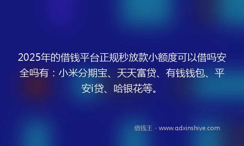 2025年的借钱平台正规秒放款小额度可以借吗安全吗有：小米分期宝、天天富贷、有钱钱包、平安i贷、哈银花等。