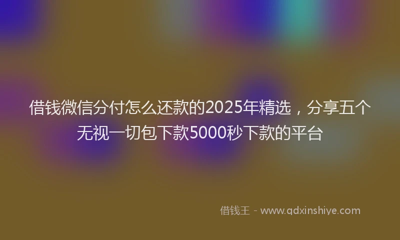 借钱微信分付怎么还款的2025年精选，分享五个无视一切包下款5000秒下款的平台