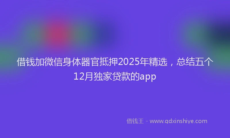 借钱加微信身体器官抵押2025年精选，总结五个12月独家贷款的app