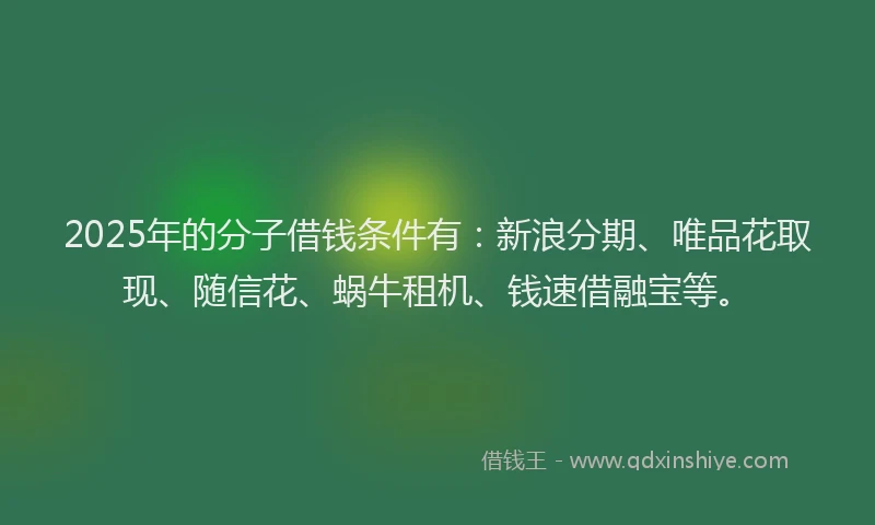 2025年的分子借钱条件有：新浪分期、唯品花取现、随信花、蜗牛租机、钱速借融宝等。
