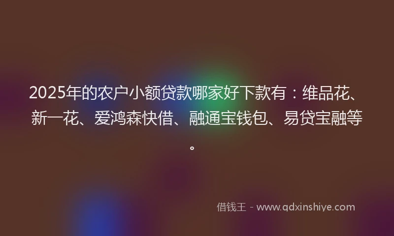 2025年的农户小额贷款哪家好下款有：维品花、新一花、爱鸿森快借、融通宝钱包、易贷宝融等。