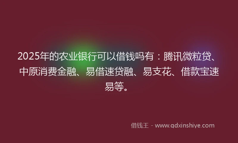 2025年的农业银行可以借钱吗有：腾讯微粒贷、中原消费金融、易借速贷融、易支花、借款宝速易等。
