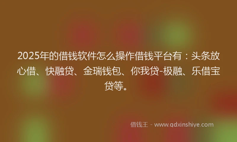 2025年的借钱软件怎么操作借钱平台有：头条放心借、快融贷、金瑞钱包、你我贷-极融、乐借宝贷等。