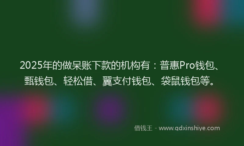 2025年的做呆账下款的机构有：普惠Pro钱包、甄钱包、轻松借、翼支付钱包、袋鼠钱包等。