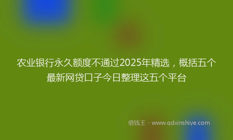 农业银行永久额度不通过2025年精选，概括五个最新网贷口子今日整理这五个平台