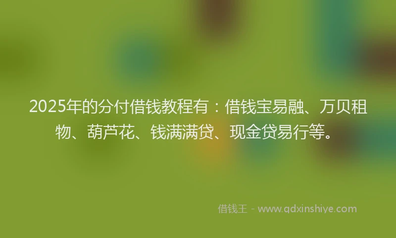 2025年的分付借钱教程有：借钱宝易融、万贝租物、葫芦花、钱满满贷、现金贷易行等。