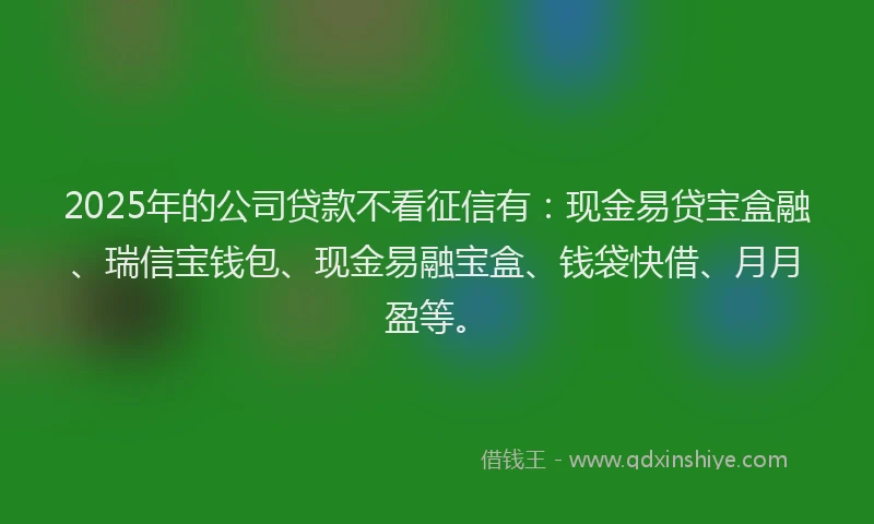 2025年的公司贷款不看征信有：现金易贷宝盒融、瑞信宝钱包、现金易融宝盒、钱袋快借、月月盈等。