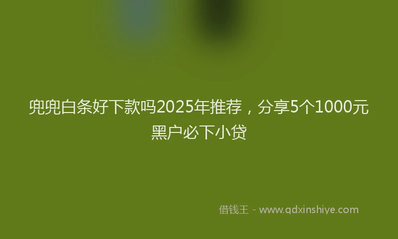 兜兜白条好下款吗2025年推荐，分享5个1000元黑户必下小贷
