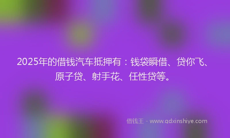 2025年的借钱汽车抵押有：钱袋瞬借、贷你飞、原子贷、射手花、任性贷等。