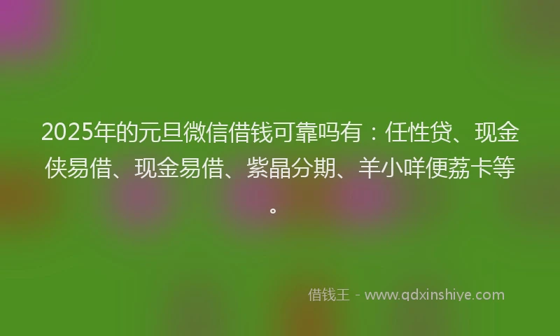 2025年的元旦微信借钱可靠吗有：任性贷、现金侠易借、现金易借、紫晶分期、羊小咩便荔卡等。