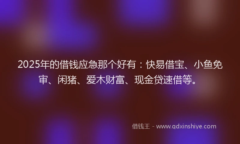 2025年的借钱应急那个好有：快易借宝、小鱼免审、闲猪、爱木财富、现金贷速借等。