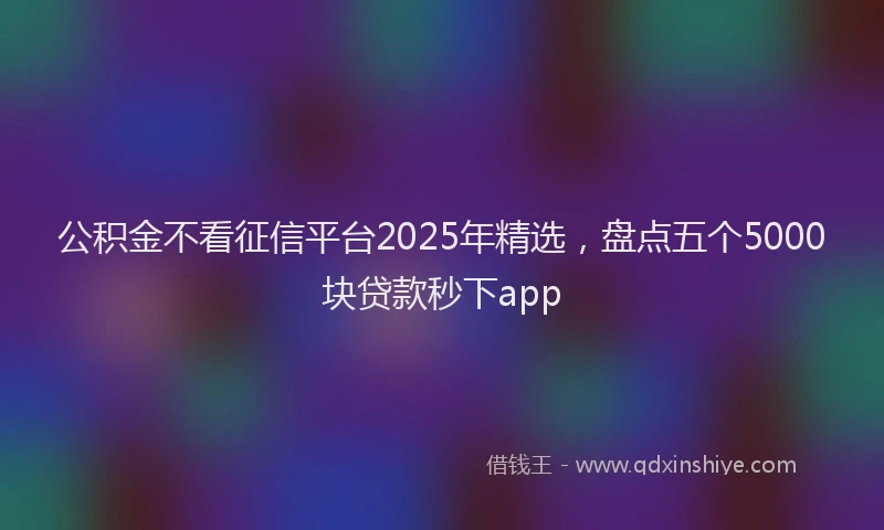 公积金不看征信平台2025年精选，盘点五个5000块贷款秒下app