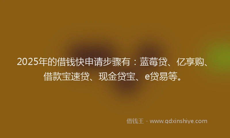 2025年的借钱快申请步骤有：蓝莓贷、亿享购、借款宝速贷、现金贷宝、e贷易等。