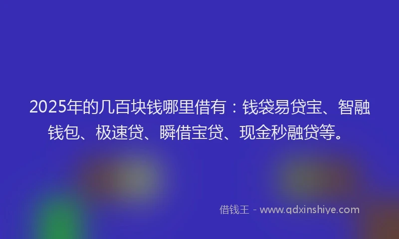 2025年的几百块钱哪里借有：钱袋易贷宝、智融钱包、极速贷、瞬借宝贷、现金秒融贷等。