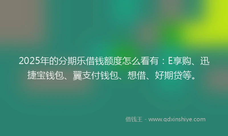 2025年的分期乐借钱额度怎么看有：E享购、迅捷宝钱包、翼支付钱包、想借、好期贷等。