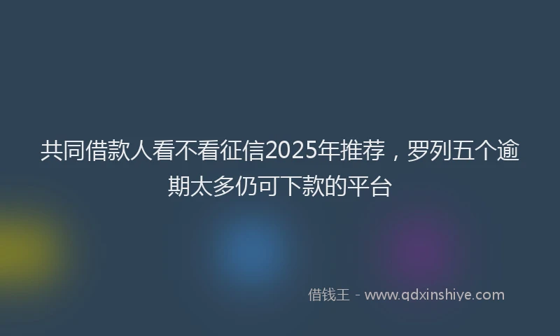 共同借款人看不看征信2025年推荐，罗列五个逾期太多仍可下款的平台