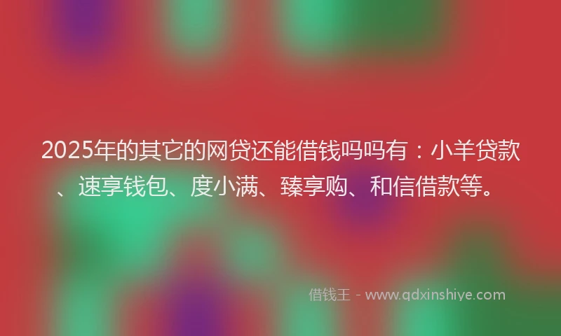 2025年的其它的网贷还能借钱吗吗有：小羊贷款、速享钱包、度小满、臻享购、和信借款等。