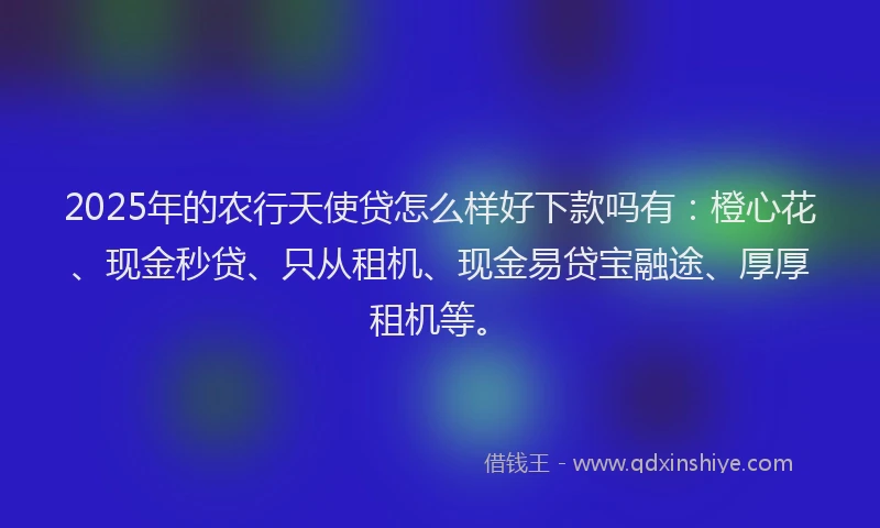 2025年的农行天使贷怎么样好下款吗有：橙心花、现金秒贷、只从租机、现金易贷宝融途、厚厚租机等。