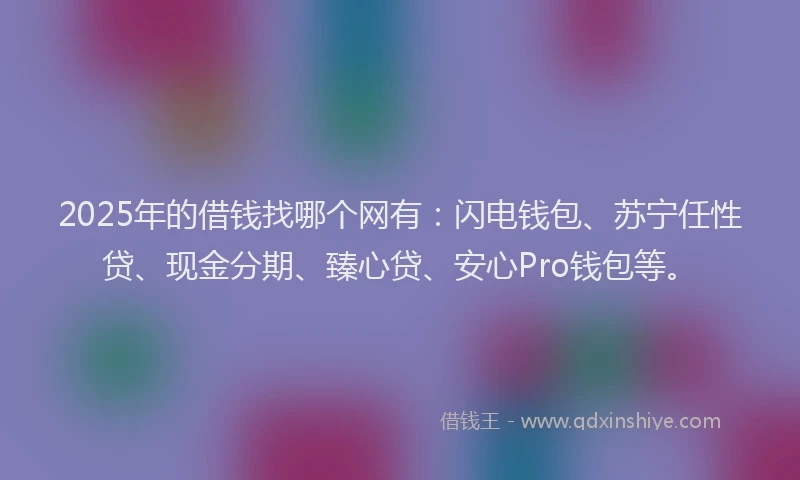 2025年的借钱找哪个网有：闪电钱包、苏宁任性贷、现金分期、臻心贷、安心Pro钱包等。