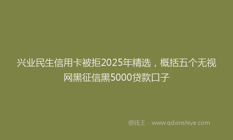 兴业民生信用卡被拒2025年精选，概括五个无视网黑征信黑5000贷款口子