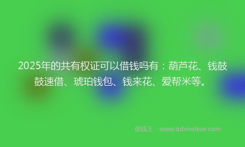 2025年的共有权证可以借钱吗有：葫芦花、钱鼓鼓速借、琥珀钱包、钱来花、爱帮米等。