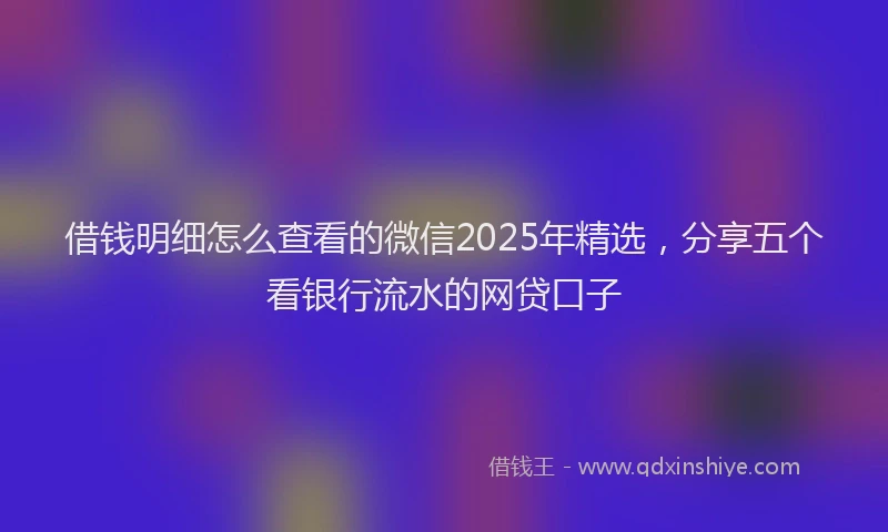 借钱明细怎么查看的微信2025年精选，分享五个看银行流水的网贷口子