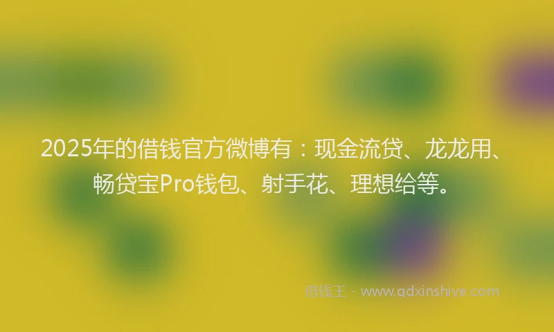 2025年的借钱官方微博有：现金流贷、龙龙用、畅贷宝Pro钱包、射手花、理想给等。