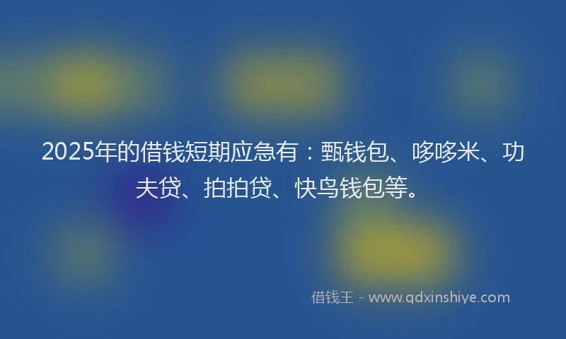 2025年的借钱短期应急有：甄钱包、哆哆米、功夫贷、拍拍贷、快鸟钱包等。