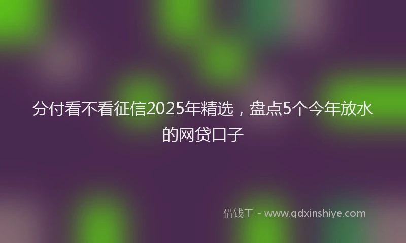 分付看不看征信2025年精选，盘点5个今年放水的网贷口子