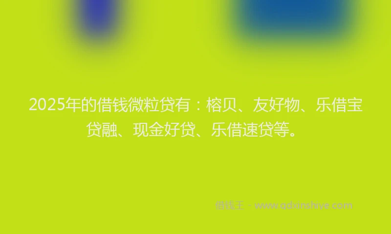 2025年的借钱微粒贷有：榕贝、友好物、乐借宝贷融、现金好贷、乐借速贷等。
