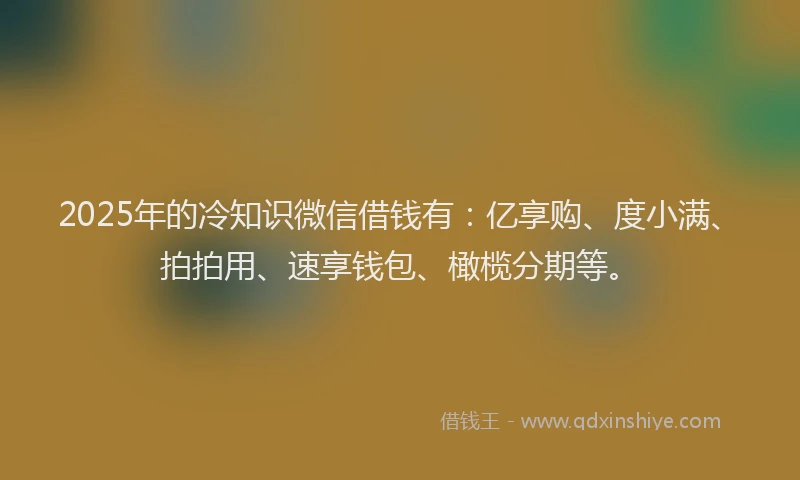 2025年的冷知识微信借钱有：亿享购、度小满、拍拍用、速享钱包、橄榄分期等。