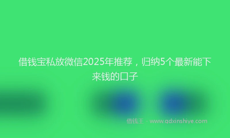 借钱宝私放微信2025年推荐，归纳5个最新能下来钱的口子