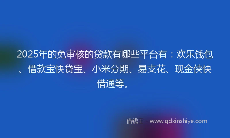 2025年的免审核的贷款有哪些平台有：欢乐钱包、借款宝快贷宝、小米分期、易支花、现金侠快借通等。