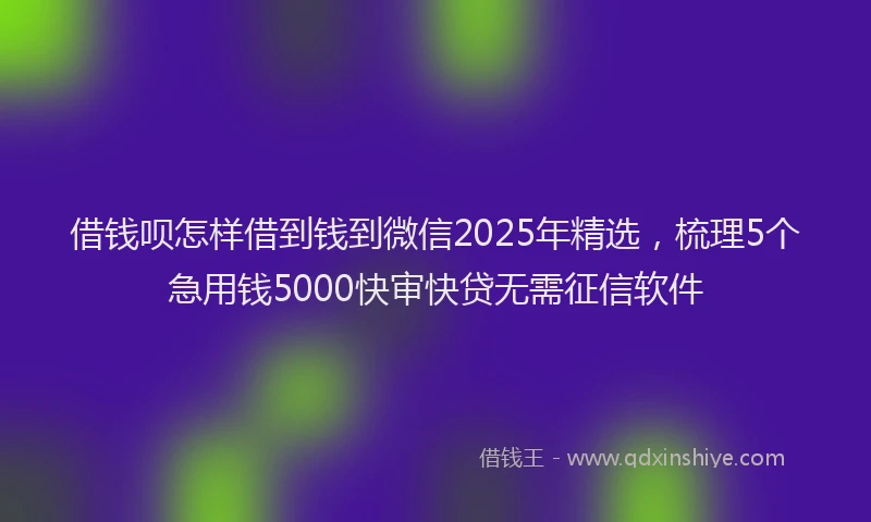 借钱呗怎样借到钱到微信2025年精选，梳理5个急用钱5000快审快贷无需征信软件