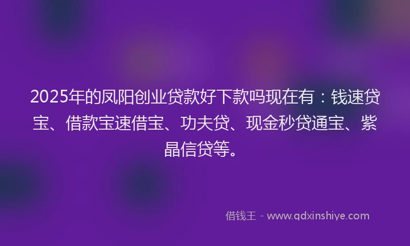 2025年的凤阳创业贷款好下款吗现在有：钱速贷宝、借款宝速借宝、功夫贷、现金秒贷通宝、紫晶信贷等。
