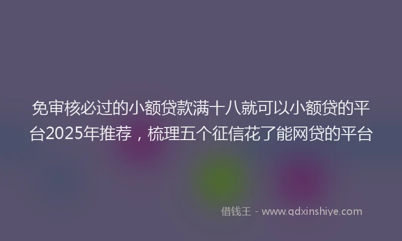 免审核必过的小额贷款满十八就可以小额贷的平台2025年推荐，梳理五个征信花了能网贷的平台