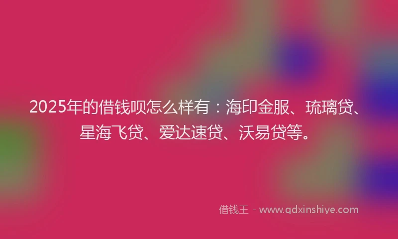 2025年的借钱呗怎么样有：海印金服、琉璃贷、星海飞贷、爱达速贷、沃易贷等。