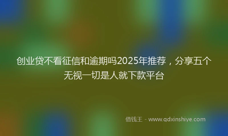 创业贷不看征信和逾期吗2025年推荐，分享五个无视一切是人就下款平台