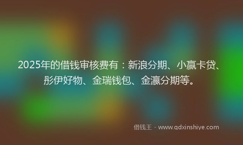2025年的借钱审核费有：新浪分期、小赢卡贷、彤伊好物、金瑞钱包、金瀛分期等。