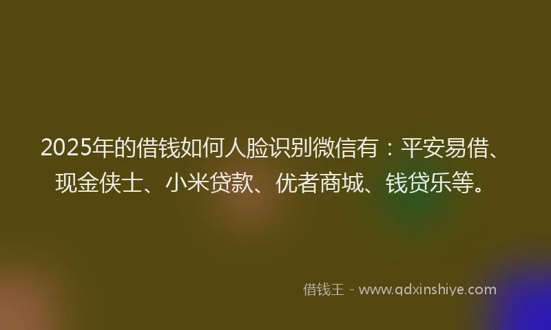 2025年的借钱如何人脸识别微信有：平安易借、现金侠士、小米贷款、优者商城、钱贷乐等。