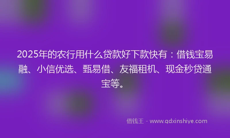 2025年的农行用什么贷款好下款快有：借钱宝易融、小信优选、甄易借、友福租机、现金秒贷通宝等。